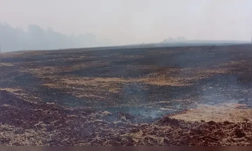Apucarana decreta situação de emergência por conta da estiagem