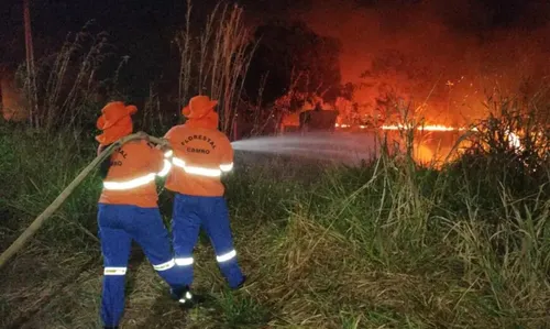 No Pantanal, os incêndios já atingiram 2,6 milhões de hectares