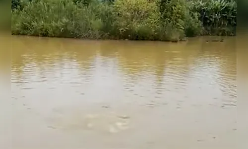 Ladrões levam 500 KG de peixes em propriedade rural de Lidianópolis