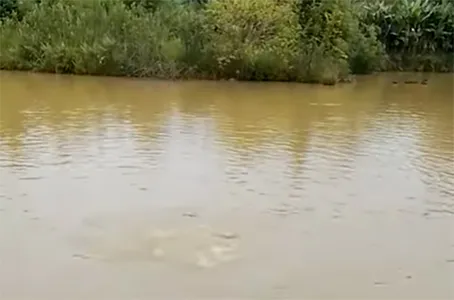 O furto foi em um sítio na Estrada Água Barra Preta