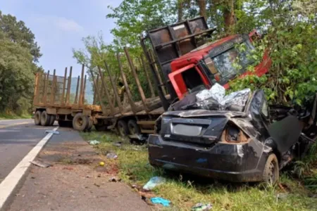 O impacto deixou a cabine da carreta fora da pista, em uma área de mata.