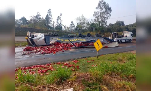 Caminhão de cerveja tomba e carga é saqueada no PR