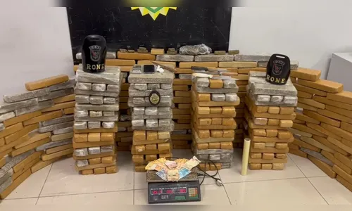 Rone descobre esconderijo com mais de 250 quilos de maconha no Paraná