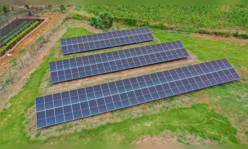 Cooperativa de Maringá adere à geração solar e reduz conta de energia