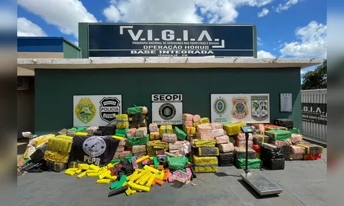 Paraná lidera apreensão de drogas no Brasil com 326 toneladas