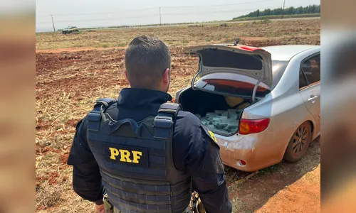 PRF apreende 103 kg de pasta base de cocaína em Sabáudia