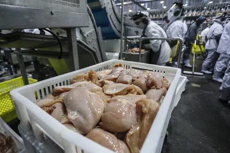 Palotina - 10-10-2020 - Cooperativa C Vale - Industria de Aves e Tilapia  - Foto : Jonathan Campos / AEN