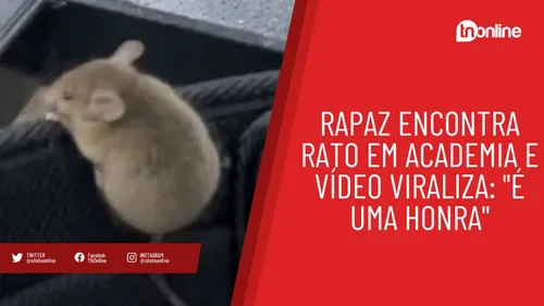 Rapaz encontra rato em academia e vídeo viraliza: "É uma honra"