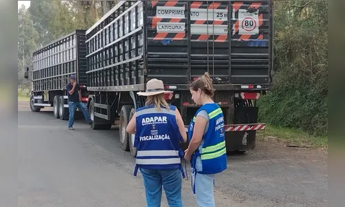 Receita Estadual identifica irregularidades fiscais em mercadorias