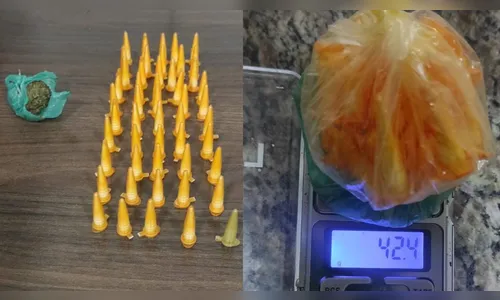 Rocam apreende drogas após traficantes fugirem pela mata em Apucarana