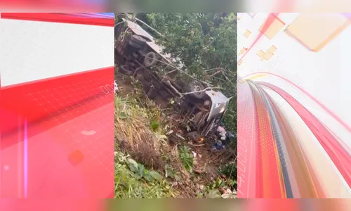 Ônibus da saúde cai de ribanceira e deixa quatro mortos na BR-324