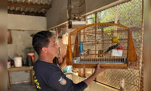 IAT desarticula cativeiros irregulares e recupera aves no PR