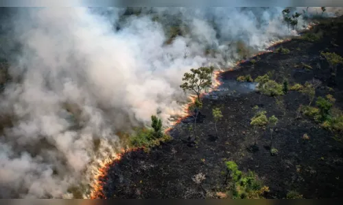Chuva preta: queimadas da Floresta Amazônica atingem o RS