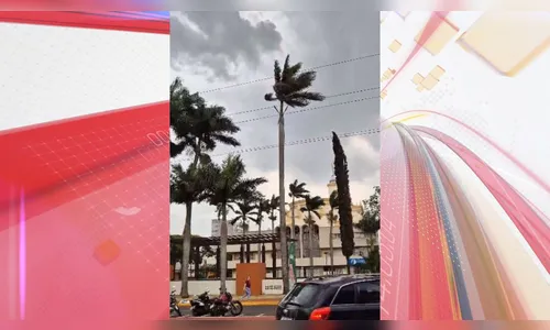 Apucarana registra rajadas de vento de até 60 km/h; veja vídeos
