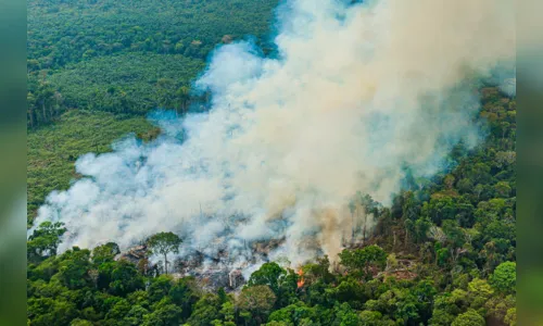 SRB critica confisco de propriedades por queimadas em áreas atingidas
