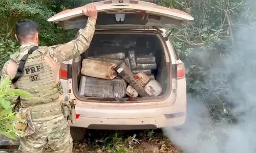 Ação conjunta apreende mais de uma tonelada de maconha no Paraná