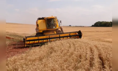 Após seis anos em alta, valor da produção agrícola cai 2,3% em 2023