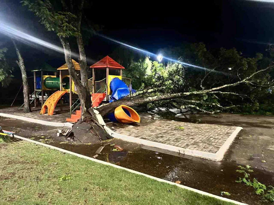 Árvore caiu caiu sobre parte de um playground infantil