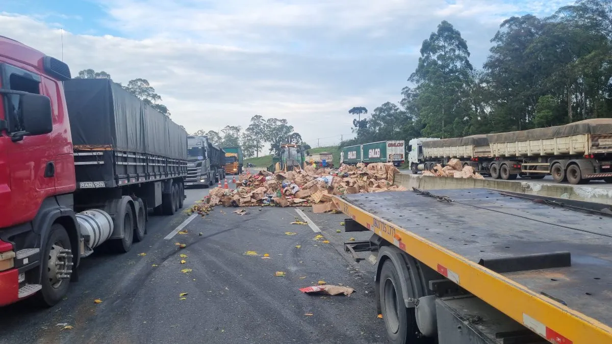 Caminhão tomba no PR e populares se arriscam para saquear mangas