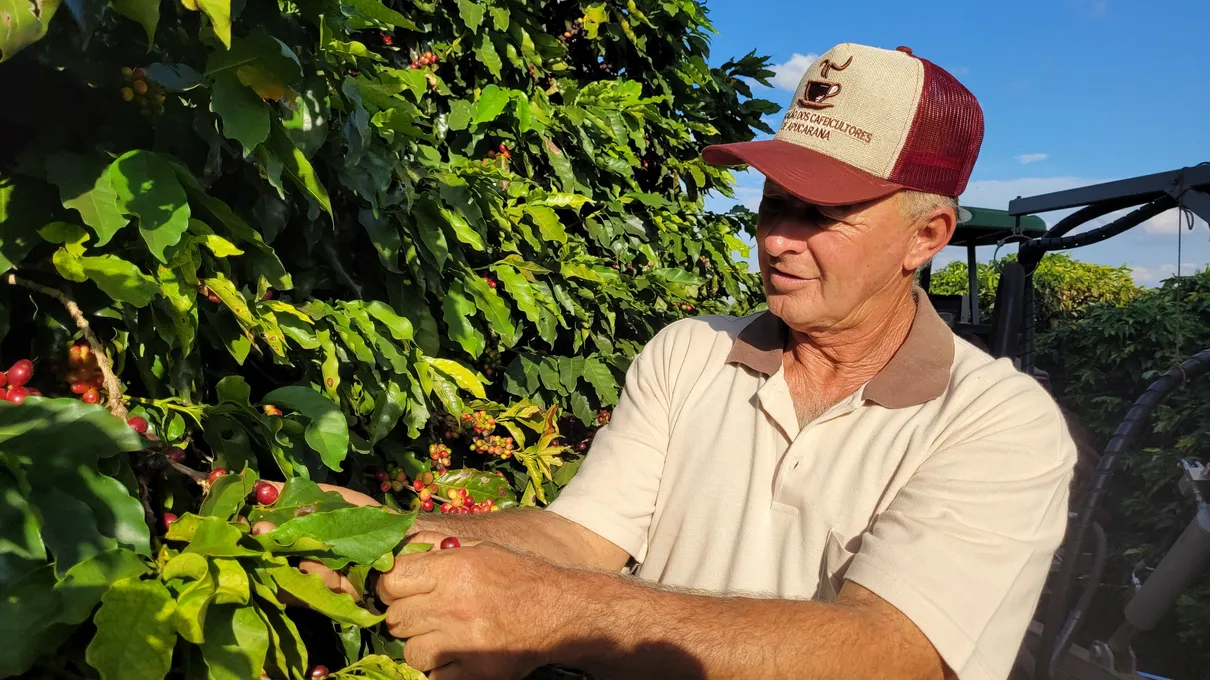 Carlos Bovo, presidente da Associação dos Cafeicultores de Apucarana