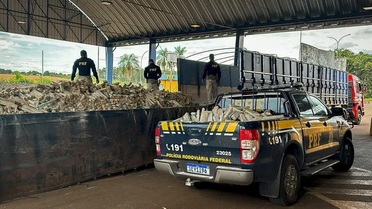 Desde janeiro deste ano, 559 pessoas foram detidas pela PRF por tráfico de drogas no estado