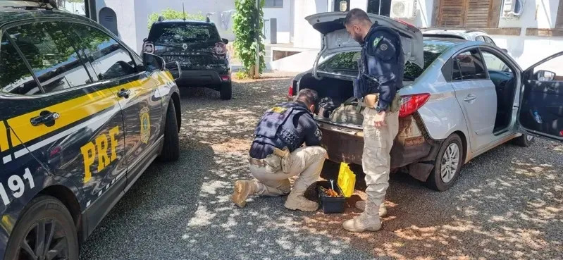 PRF apreendeu drogas em Arapongas