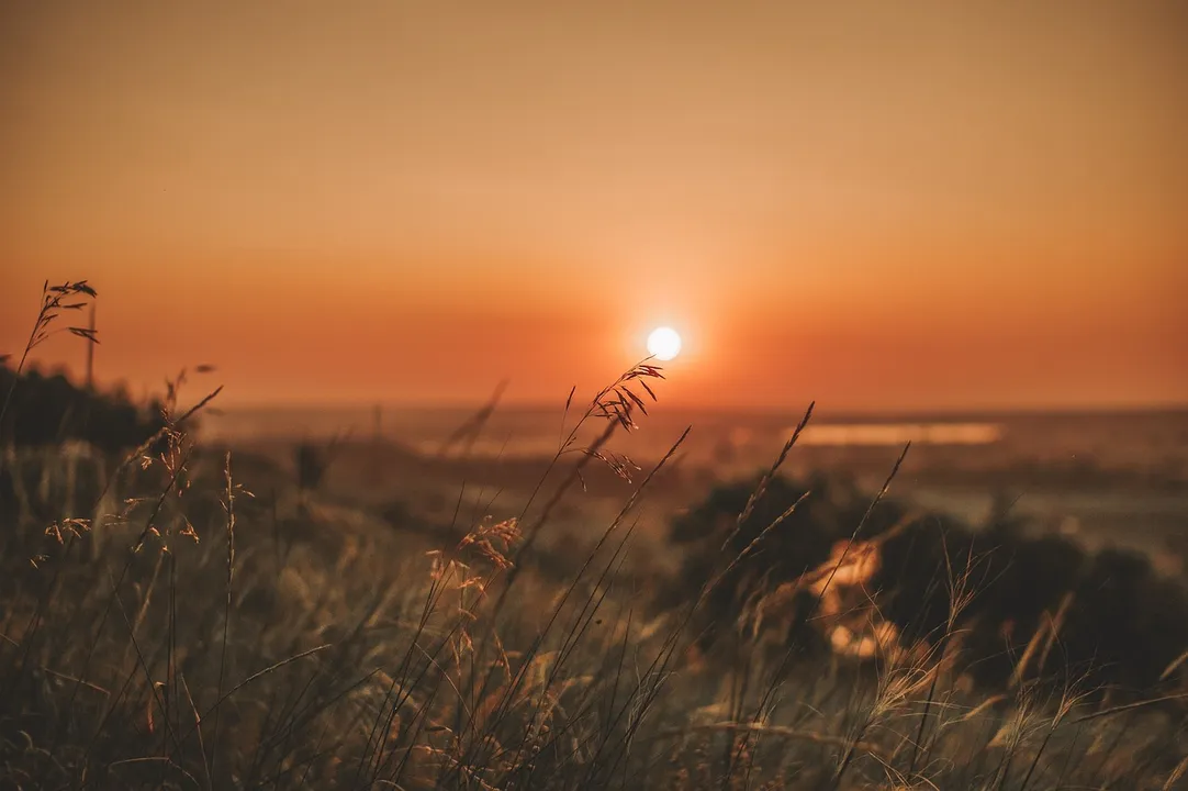 Segundo informe do Simepar, a maior temperatura do mês ocorreu em Capanema, com 41,1°C no dia 25 de setembro