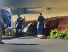 Acidente em estrada rural de Jardim Alegre deixa três feridos