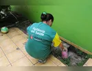 Aumento na incidência de dengue gera alerta em municípios da região