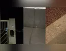 SEM FERIDOS