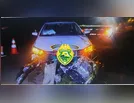 Mulher fica ferida após carros atropelarem boi na PR-444 em Arapongas