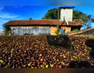 Ausência da política rural municipal
