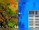 Prédios públicos de Arapongas já somam 600 pontos de monitoramento