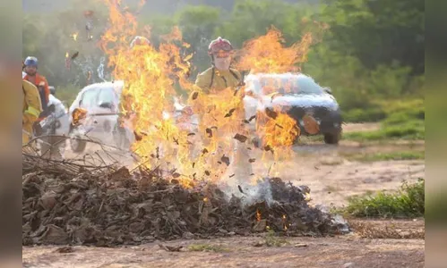 Governo testa substância que apaga incêndio mais rápido do que água
