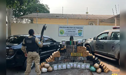 PMPR apreende mais de meia tonelada de maconha em abordagem a veículo