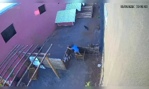 O que se sabe sobre criança que matou 23 animais em clínica no PR