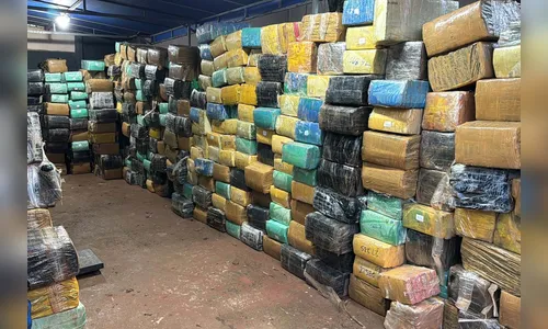 Polícia Civil do Paraná apreende 11 toneladas de maconha
