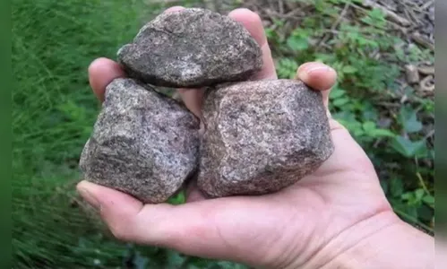 Briga em festa de família termina com pedrada na cabeça em Sabáudia