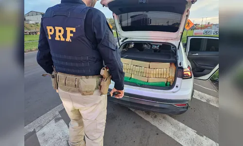PRF apreende 450 quilos de maconha em carro roubado na BR-369