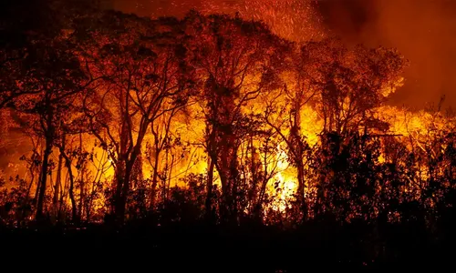 PF investiga incêndios criminosos no Pantanal