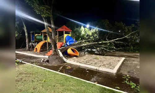Temporal derruba árvore e atinge playground infantil em Jardim Alegre