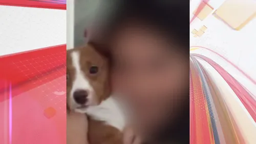 Cachorrinha partiu para cima do agressor, segundo a mãe