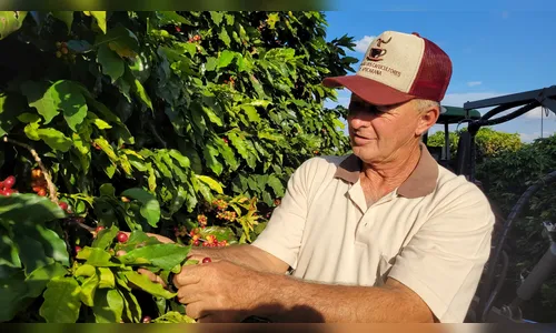 Cafeicultura deve movimentar mais de R$ 125 milhões na região