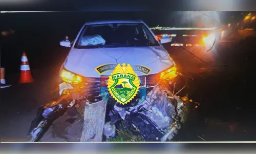 Mulher fica ferida após carros atropelarem boi na PR-444 em Arapongas