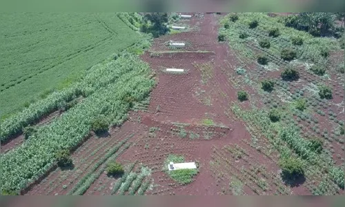 Viapar terá de pagar R$ 222 mi por não entregar contorno, diz MPF