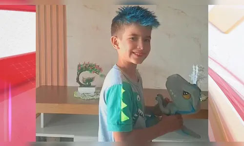 Menino que morreu após picada de abelha já foi atacado por enxame