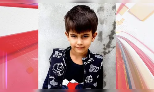Criança de 6 anos morre após ser atacada por enxame de abelhas no PR