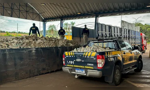 PRF ultrapassa recorde histórico de apreensão de drogas no Paraná