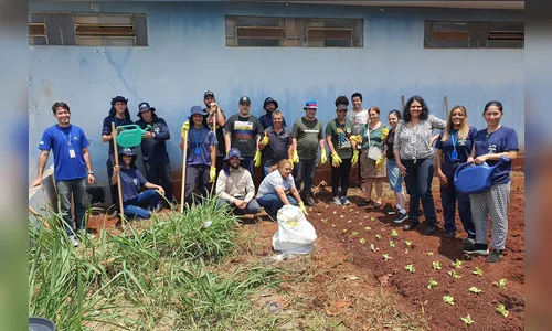 Moradores recebem orientação sobre hortas comunitárias em Arapongas