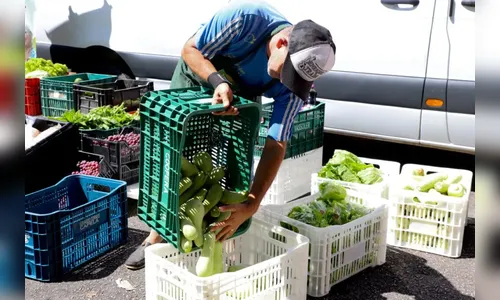 Paraná lidera na adesão ao programa com 319 municípios integrados